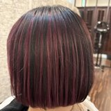 アンブレラカラー（ワインレッド系）